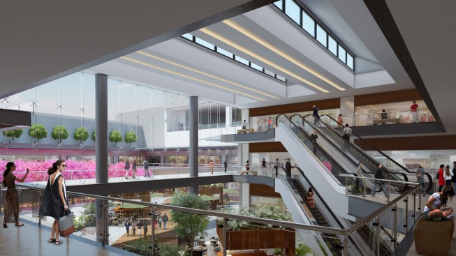 Millennium - Taller G