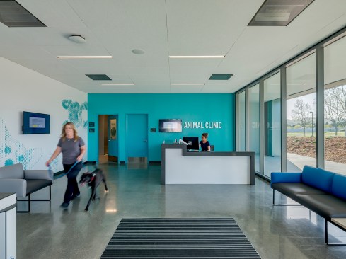 The Animal Clinic provides spay and neuter and other surgery services to the general public and has its own separate entrance at the front of the building. The Clinic zone includes bright and inviting colors and large animal graphics.