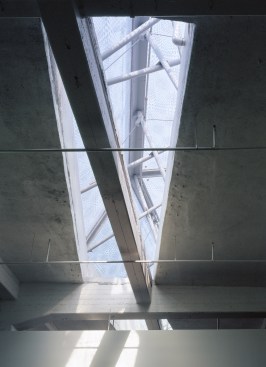 Classrooms receive light from the sculptural skylights.