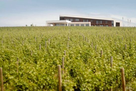 Temet winery in Lozovik