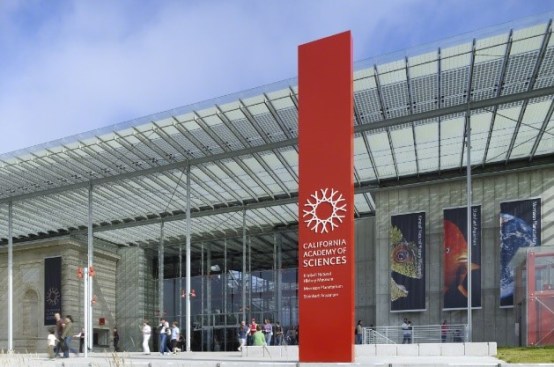 Entrances and retail storefronts benefit from the increased daylighting and clarity of low-iron glass. Photography courtesy of Vitro Architectural Glass.