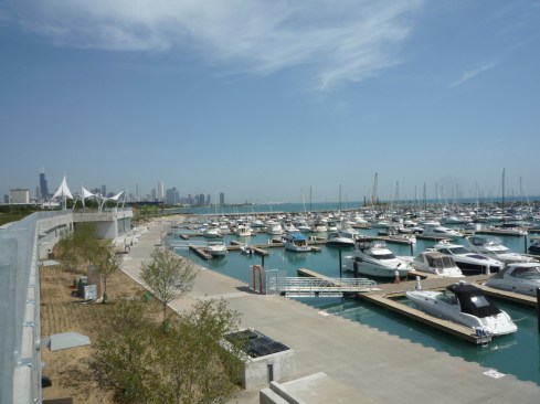 View of marina from green roof.