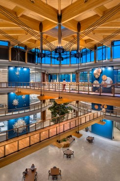 Connecting atrium with floating bridges, natural plantings, water features and clerestory