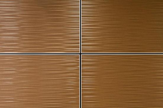 LEVELe Wall System with Capture panels; insets in Bonded Bronze with Natural Patina and Kalahari pattern at Princeton Medical Arts Pavilion, Plainsboro, New Jersey