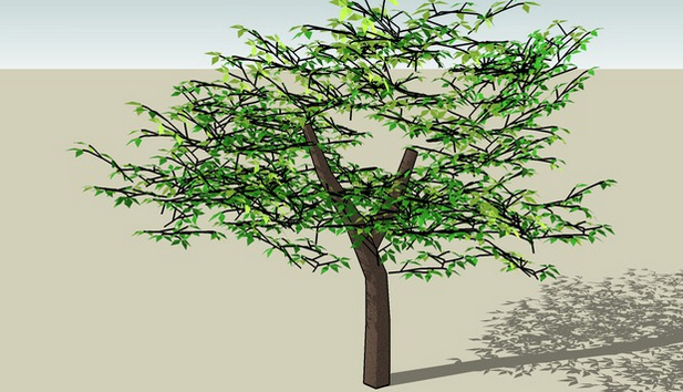 3D Warehouse tree