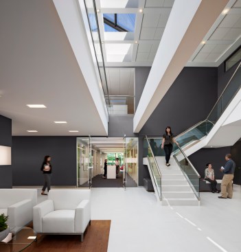A strong vertical connection, transparency, and natural light link all parts of the office