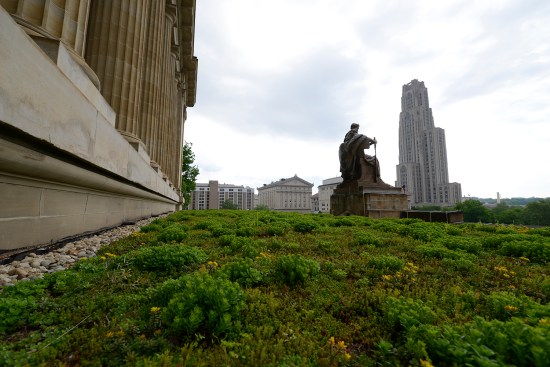 Green+Roof