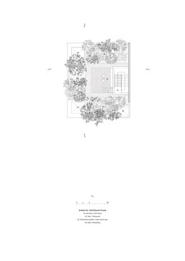 Rooftop Plan