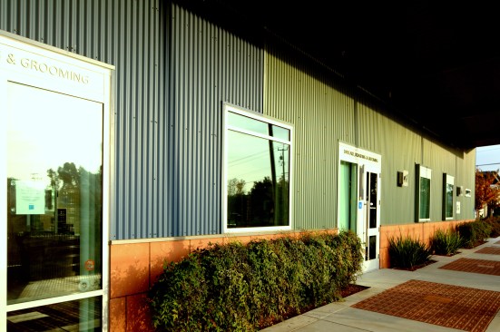 Humane+Society+Silicon+Valley