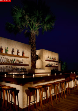 Live olive tree in "Above Sixty"