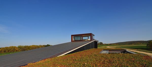 Green+roof.