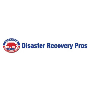 Disaster Recovery Pros