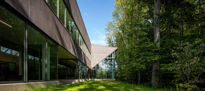 North Facade Against Undisturbed Forest