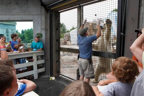 Training Demonstration