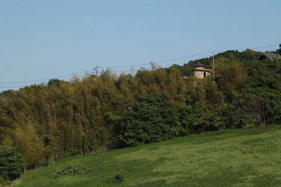 Sight of the House among the Trees