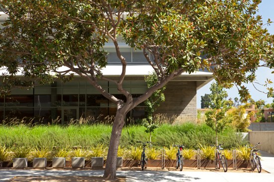 Bike racks.