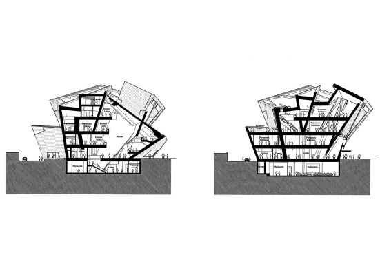 Transverse+Sections.