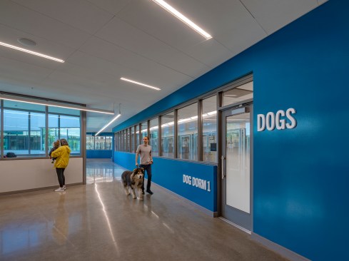 One of three dog dorms arranged in a circular configuration around The Park. Each dorm has 12 kennels, all with access to outdoor space for each dog inside.