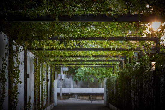 Urban Farm