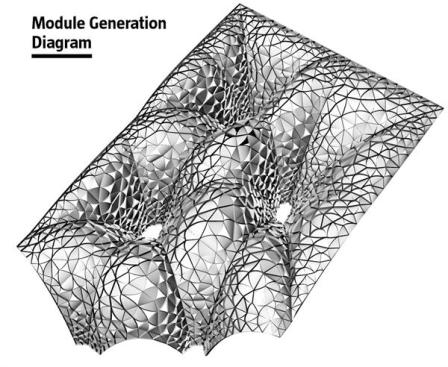 This model showcases the development of petal types needed to form a proper compressive vault system. The model was developed using Delaunay tessellation patterns, derived from nature.