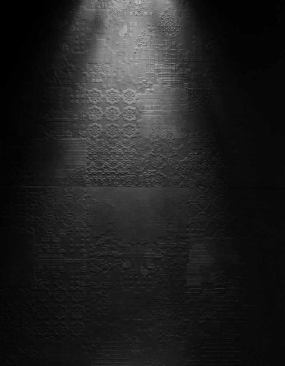 Mutina  Patricia Urquiola is one of the hottest designers at the moment, and for good reason. Check out the Dechirer collection she’s created for Italian ceramic tile manufacturer Mutina. The unglazed porcelain tile collection is inspired by the nature of cement and has a very tactile surface of reliefs and textures. Installed on a wall, it will grab all the attention. It costs from $30 to $73 per square foot. 
www.mutina.it.
