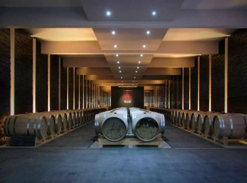 Temet winery in Lozovik