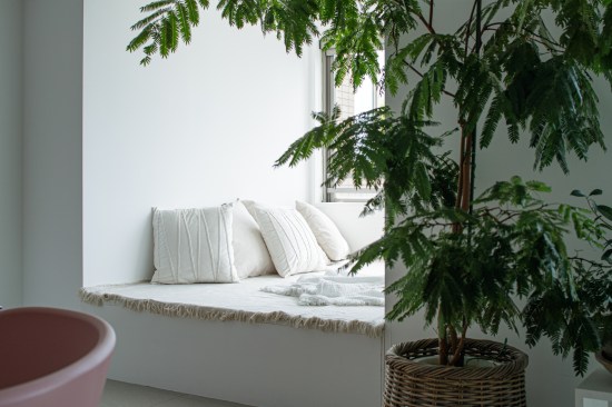 A view of the nature surrounding the house