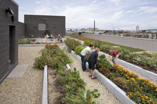 2013 AIA COTE Top Ten Plus Green Project: The Clock Shadow Building in Milwaukee, Wisc., designed by Continuum Architects + Planners.