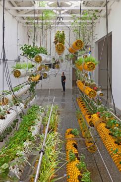 Amidst the Air, Installation at 13th Venice Biennale, Italy, 2012