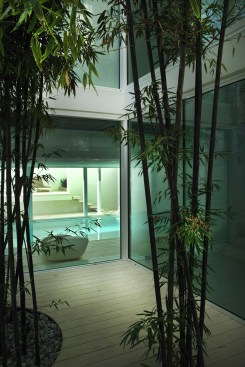  the courtyard