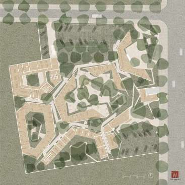 layout