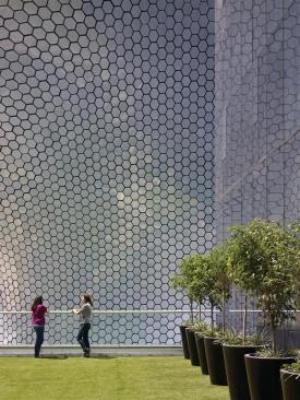 The hexagonal tiles seen from the green roof of a neighboring building.
