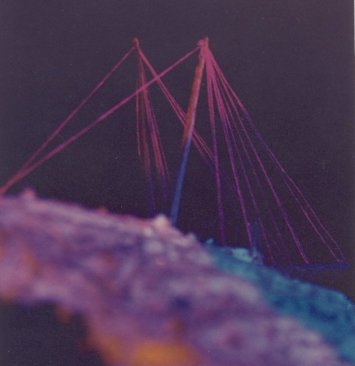 A laser from within the Temple ignites the rest at the end of each show