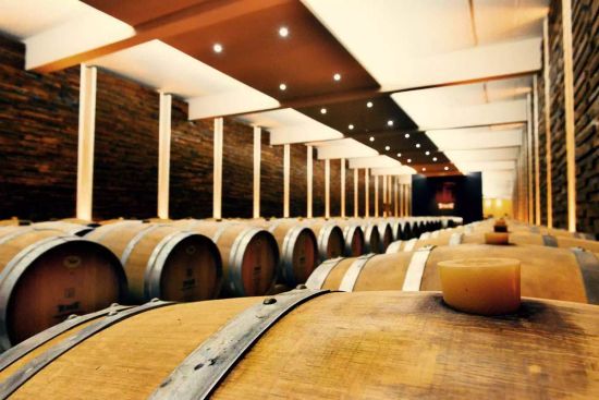 Temet winery in Lozovik