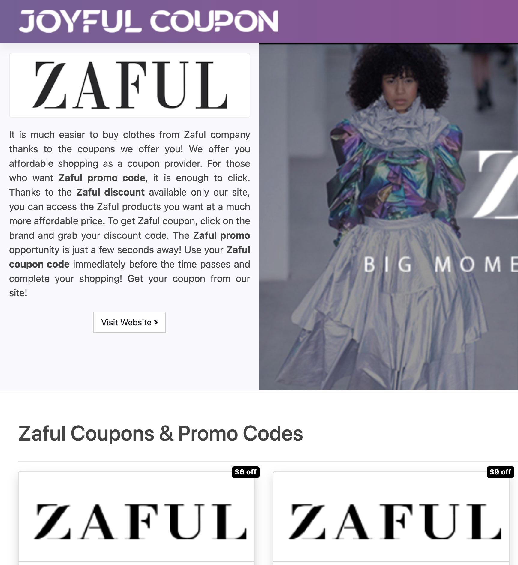 ZAFUL Promo Code Guidelines