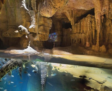 Structural members and mechanical systems are hidden as much as possible-in some cases, artificial tree trunks or rock formations are strategically placed to encapsulate columns or air ducts (opposite middle right). Most animal support spaces, such as food preparation (left), are housed on the cellar level.