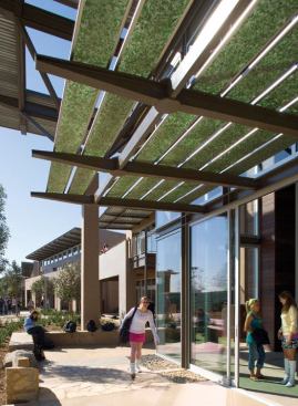 While most of the canopies on campus incorporate metal panels, the canopy at the entry to the science center is made from recycled crushed glass encased in stainless steel mesh and a metal frame. The resulting planks are then placed on the same steel canopy system that supports the other sunshades.