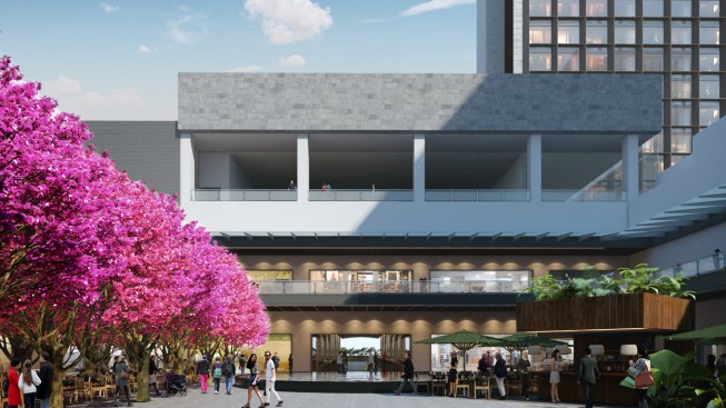 Millennium - Taller G