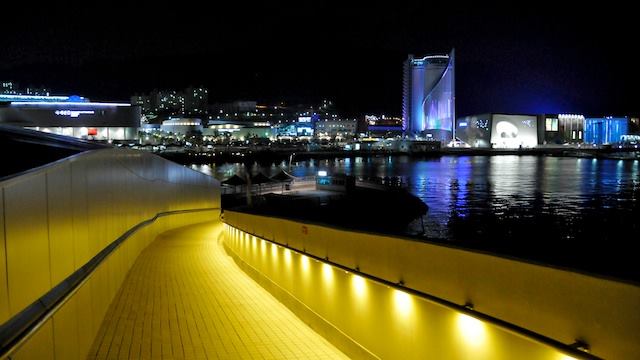 A view from the upper level of the international pavilion, demonstrating the desire to connect structure, circulation, and plantings