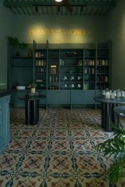 Plants of Wonder vegan store