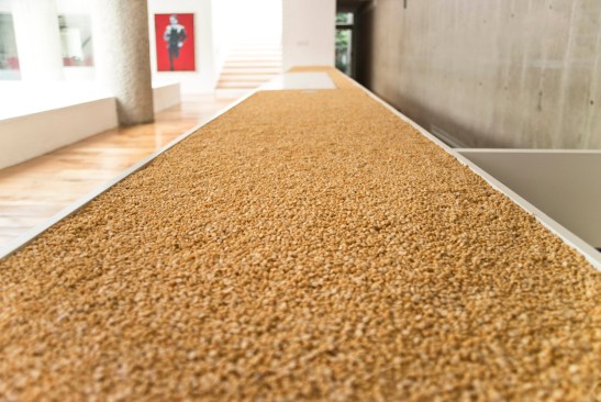 Casa Roqueta - BASO Arquitectura 