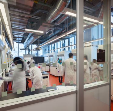 All  laboratories have access to daylight and views. A modular design approach informs the layout of laboratories to ensure maximum flexibility for current and future needs.