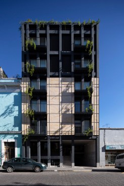 7 Sur - Puebla - Boue Arquitectos