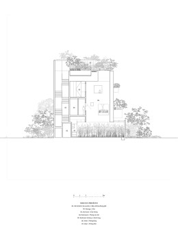 Section AA