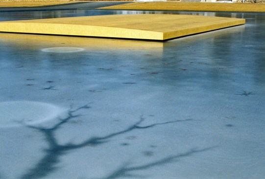 Frozen pool.