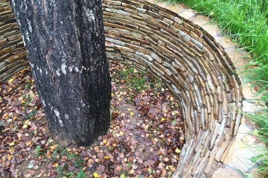 A natural stone retaining wall built to create a mound around a large existing birch tree.