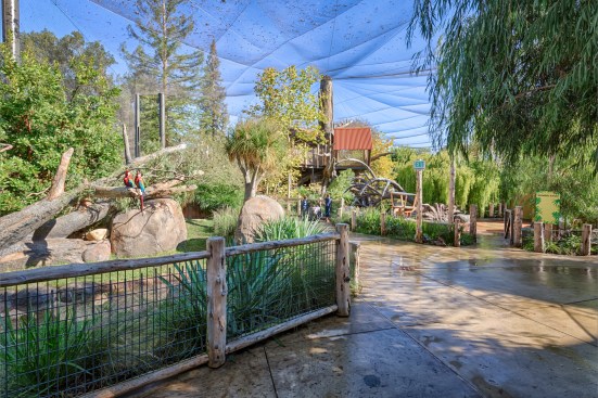  The Zoo itself is a large aviary for birds to fly freely.