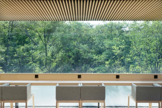 close to forest