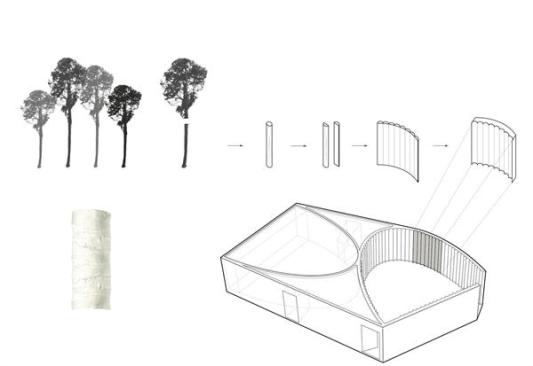 Diagram showing tree-trunk forms for the concrete walls in the courtyard.