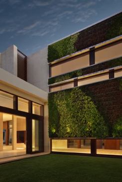 An alternate view of the green wall.